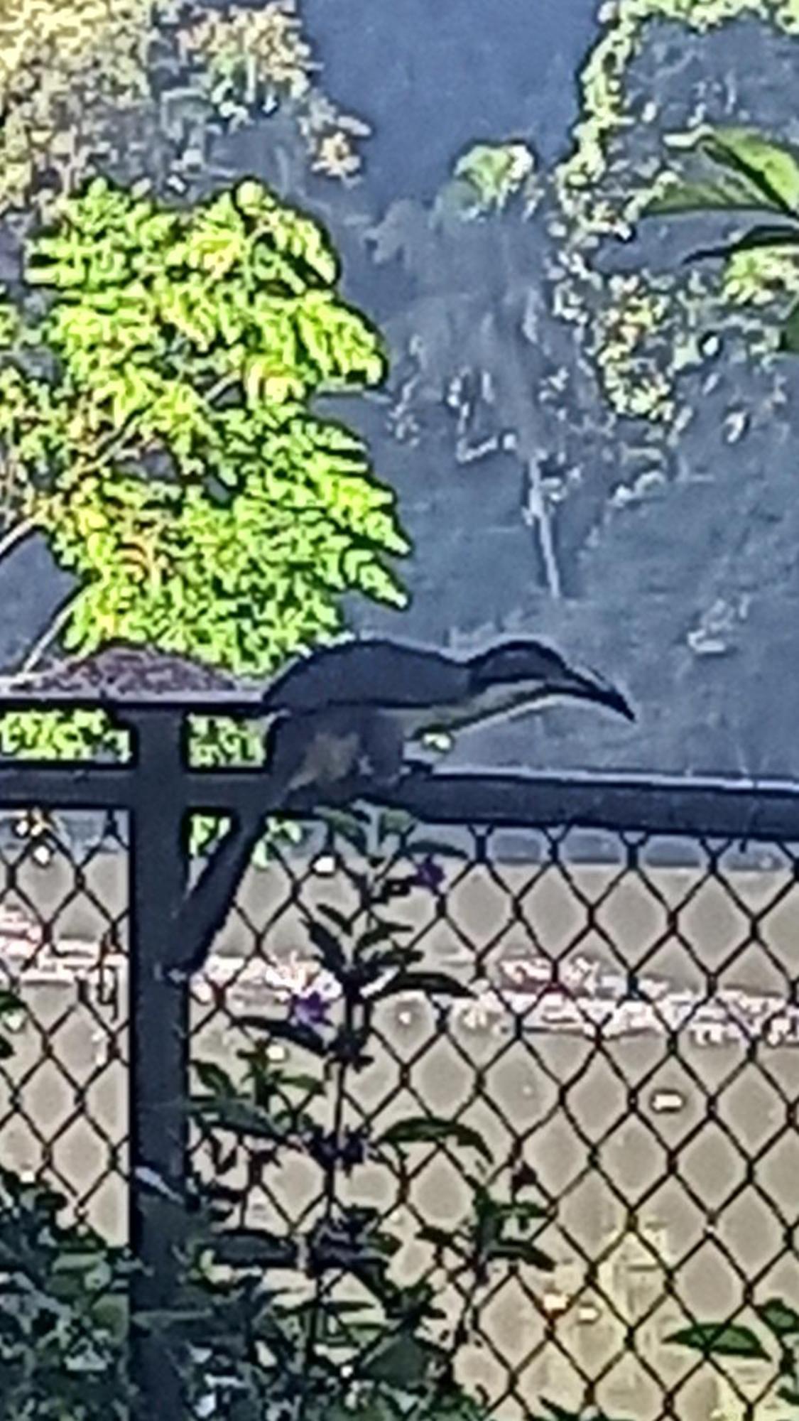 Hotel Mahaweli Shades Kandy Zewnętrze zdjęcie