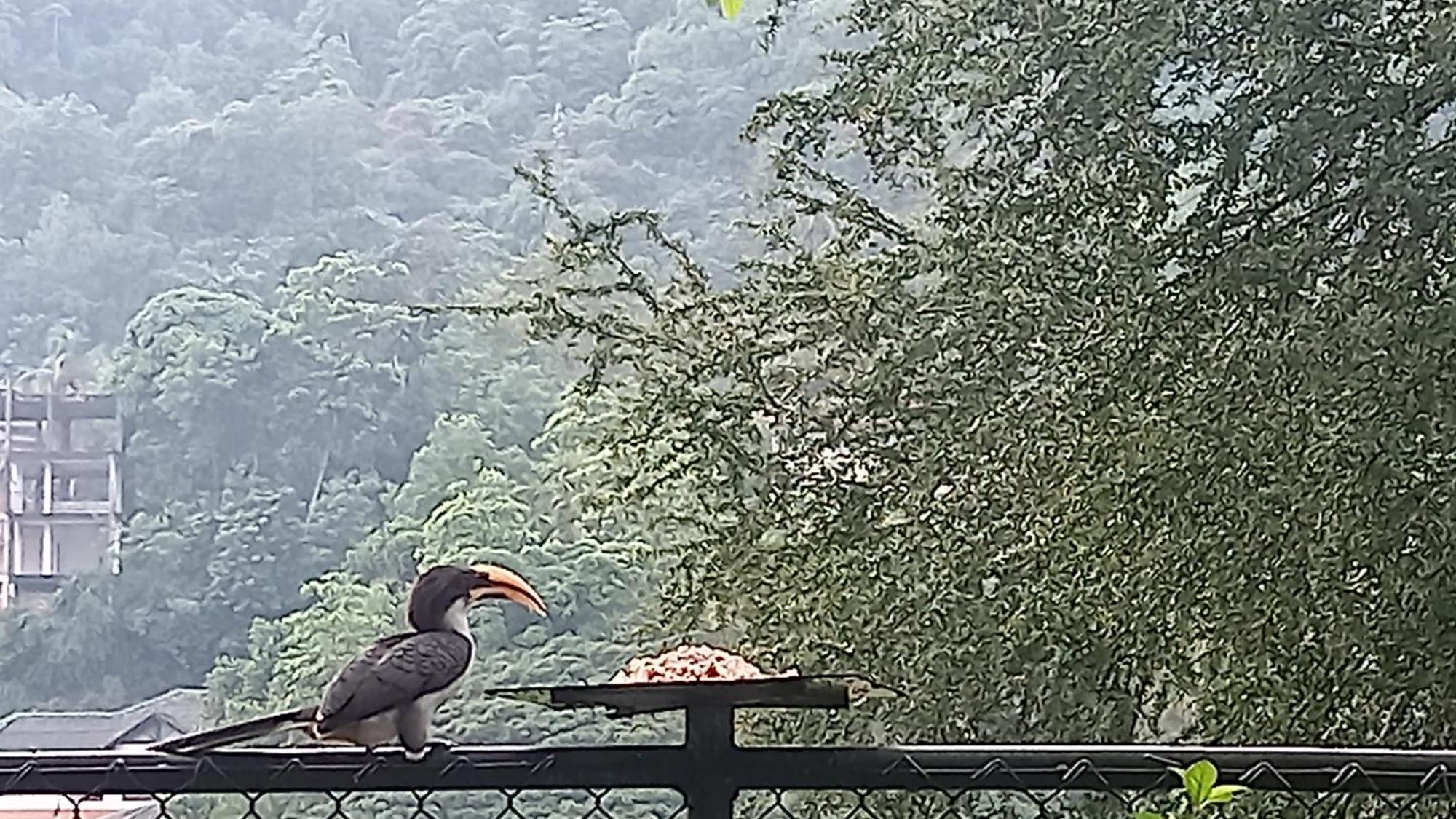 Hotel Mahaweli Shades Kandy Zewnętrze zdjęcie