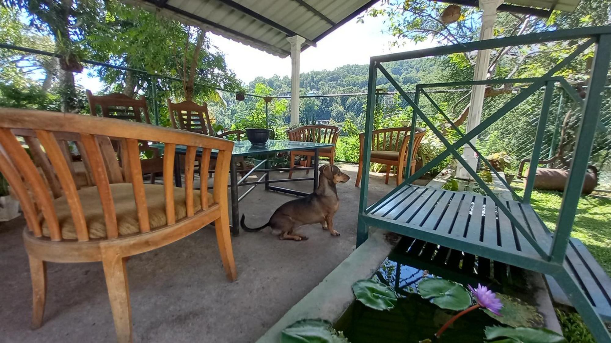 Hotel Mahaweli Shades Kandy Zewnętrze zdjęcie