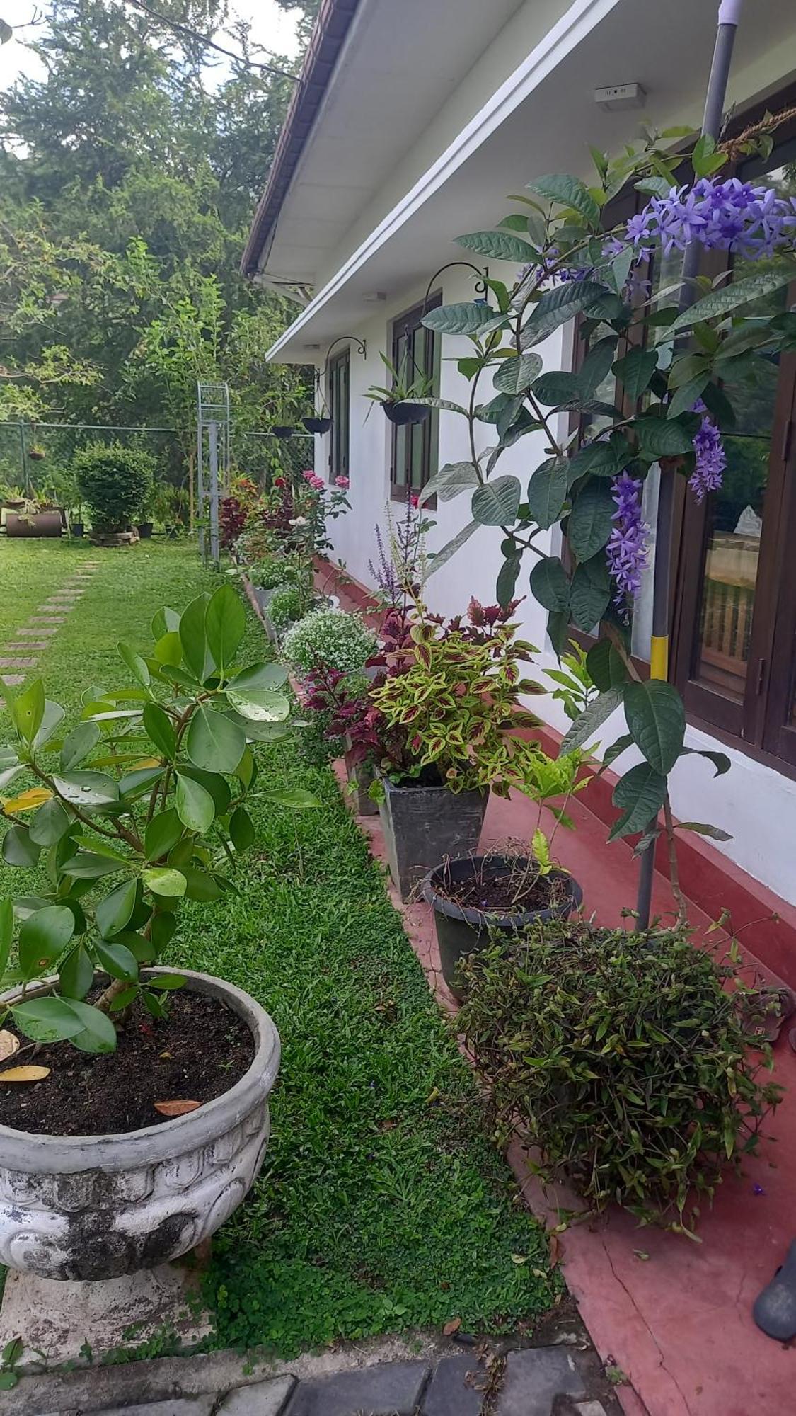 Hotel Mahaweli Shades Kandy Zewnętrze zdjęcie