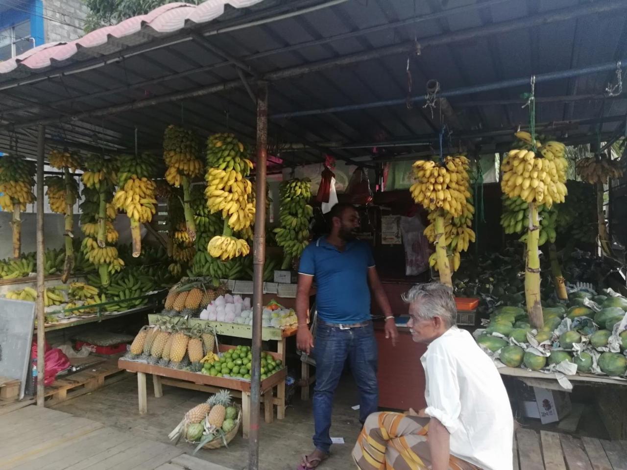 Hotel Mahaweli Shades Kandy Zewnętrze zdjęcie