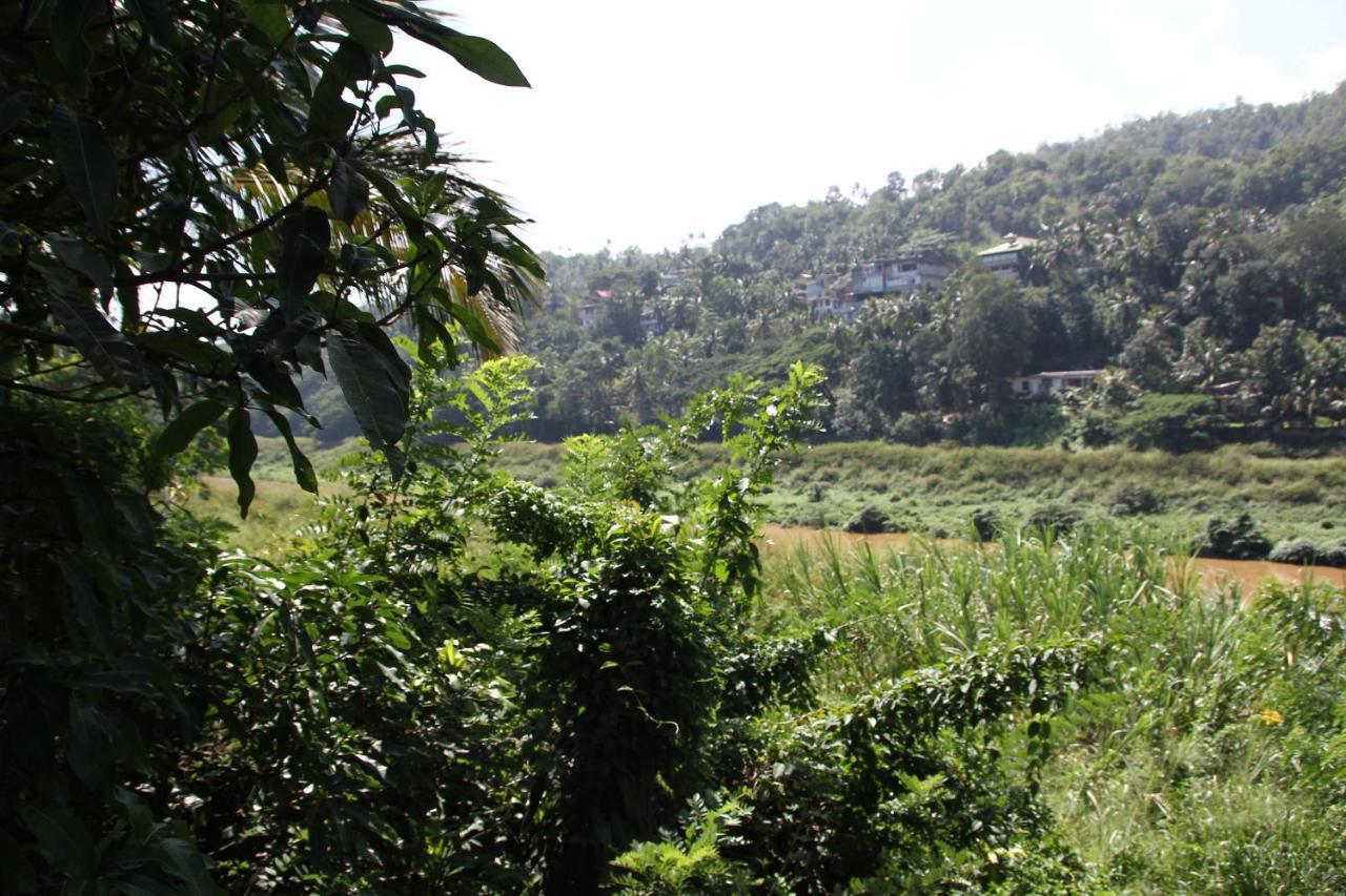 Hotel Mahaweli Shades Kandy Zewnętrze zdjęcie