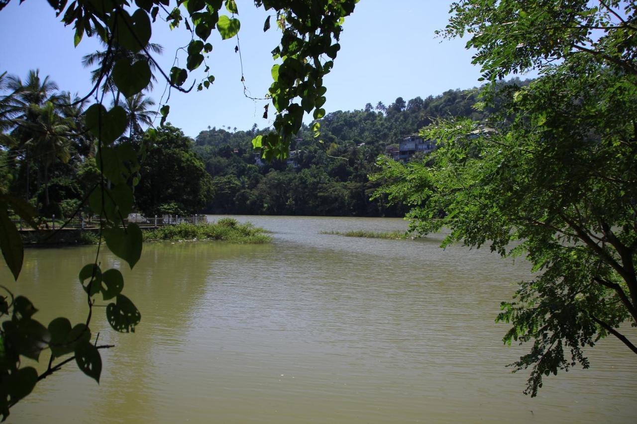 Hotel Mahaweli Shades Kandy Zewnętrze zdjęcie