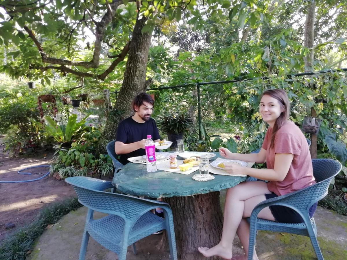 Hotel Mahaweli Shades Kandy Zewnętrze zdjęcie